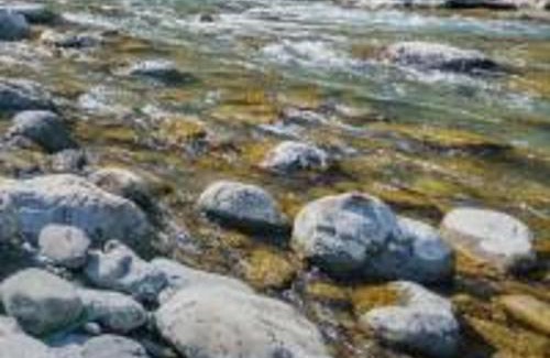 Haibara-gun Apartment | Mori no kuni