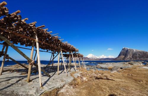Vestvagøy House | Mortsund Lodge Lofoten
