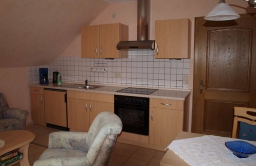 Losnich Apartment | Moselstrand 2 uniquely beautiful location directly on the Moselle, on the Moselle cycle path g