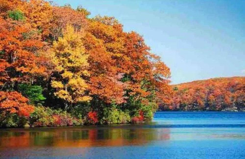 East Jewett Apartment | Mountain Getaway2BR Btw Hunter&WindhamSkiingHiking