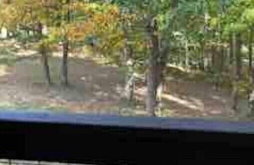 Means Cabin | Mountain Memories Cabin