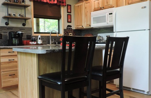 Robbinsville Cabin | Mountain Ridge View, Paved Access & Fast Wi-Fi, available Oct 7-11