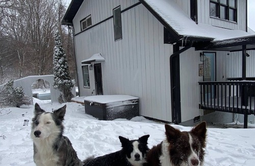 Zionville Cottage | Mountain View Cottage, Hottub, Private pool, Jacuzzi