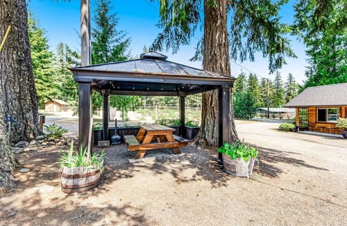 Quilcene Apartment | Mountain-view hiker's studio on ground-floor with fast WiFi - dog-friendly