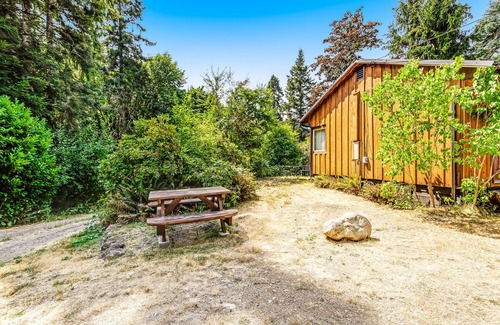 Quilcene Apartment | Mountain-view hiker's studio on ground-floor with fast WiFi - dog-friendly