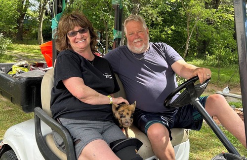 East Durham Cabin | Mountain View Tiny Cabin in the Catskill mountains. Luxury Dog Friendly