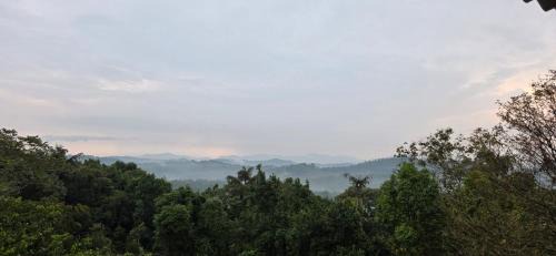 Madikeri House | Mountain View Villas