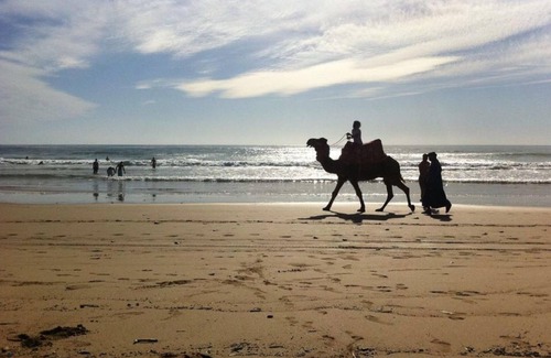 Talborjt Apartment | Mozquitas Agadir Room