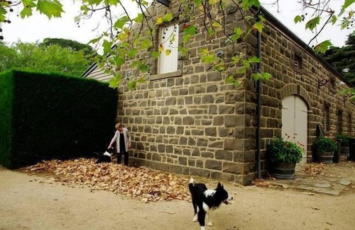 Lexton Cottage | Mt Mitchell Cottage - Romantic Holiday or Family GetAway.
