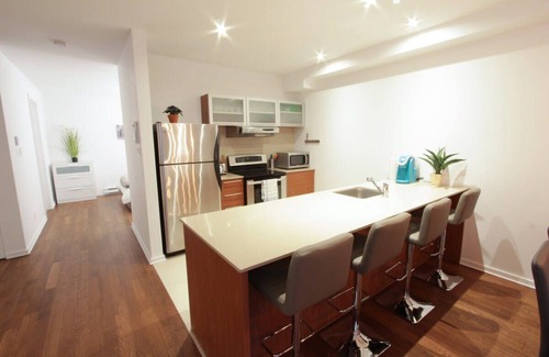 Plateau Mont Royal Apartment | MTLVR #01 | A gem in the Plateau, Metro 5 min