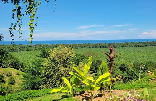 Buritaca Cabin | Mtn View Queen 4guest ac breakfast wifi pool