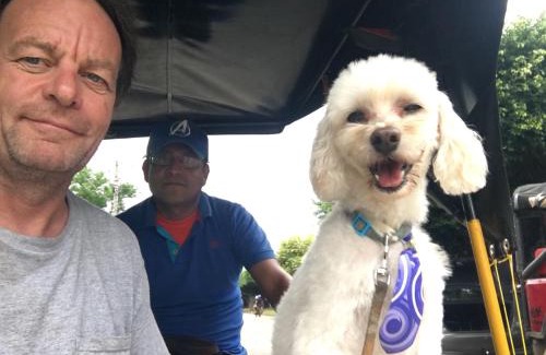 Rivas House | Murph's Surf Shacks