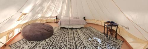 South Bend Other | Mustang Sally's Park