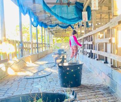 Jana House | Muumin Farm