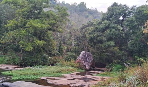 Kodaikanal Other | mysterious falls and bungalow