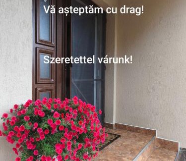 Corund Bed & Breakfast | Nárcisz B&B