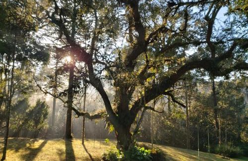 Bom Retiro Other | Não existe