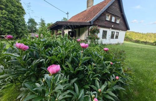 Pasym House | Na Żurawim Wzgórzu