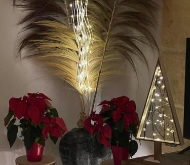 Diputacion de Cartagena Casco Apartment | Nabrisa apartamento moderno en pleno centro con opción a parking