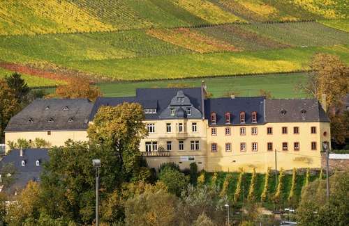 Maring-Noviand Apartment | Napoleonzimmer - Urlaub auf dem Weingut