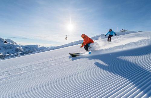 Passo Pramollo Hotel | Nassfeld Frühstückspension Wulfenia da Livio