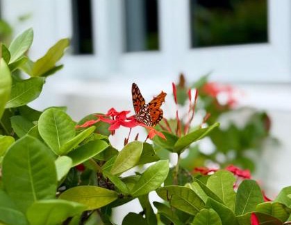 Great Exuma House | Natural Mystic Exuma