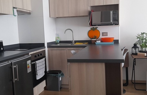 Vina del Mar Apartment | Natural zone apartment for 3 people with parking space