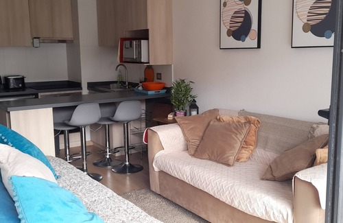 Vina del Mar Apartment | Natural zone apartment for 3 people with parking space
