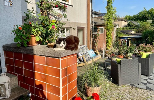 Chemnitz Apartment | Naturblick Karla Rößler by Interhome