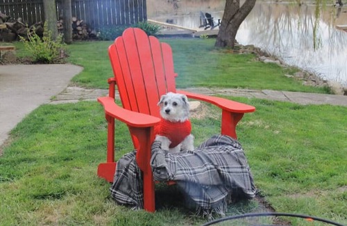 Kingsville Cottage | Nature Oasis: Waterfront, pet friendly, kayaks, SUPs, dock, amenities galore