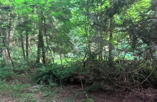 Mirrormont RV Rental | Nature's Paradise Camp Spot!