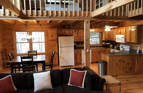 Mineral Bluff Cabin | Nature's Retreat rustic cabin nestled in the north Georgia mountains.