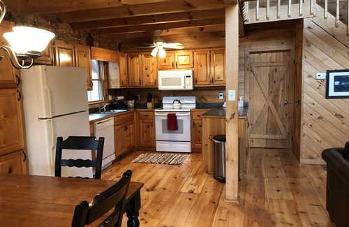 Mineral Bluff Cabin | Nature's Retreat rustic cabin nestled in the north Georgia mountains.