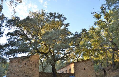 Jabugo Ski Chalet | Nature Space Jabugo