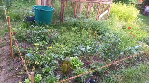 Boitzenburger Land Apartment | Naturlehmhaus