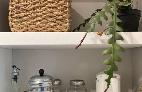 Auden Park Apartment | Near express routes to Queens/St. Lawrence/DT. Guest Suite in family home.n