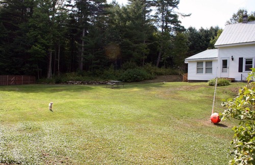 Wevertown House | Near The Black Hole, swim, SKI GORE nearby, Walking trail,Trout stream, Hiking,