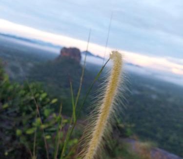 Sigiriya House | Near The Canal Homstay