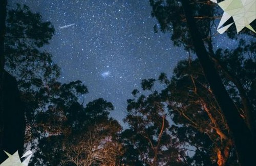 Janda Baik House | Neblina House