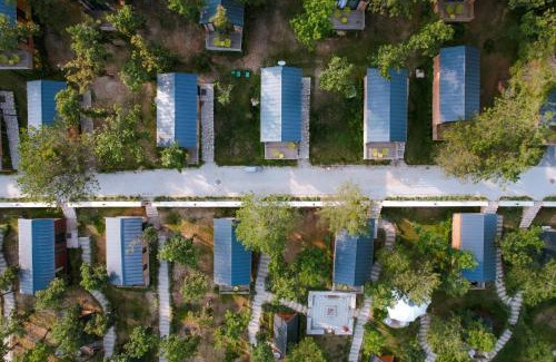 Nilufer Other | Nefes Dağyenice Doğada