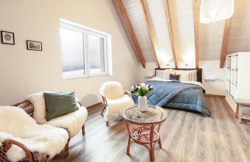 Nepomuk Apartment | Nepomuk pod Prahou