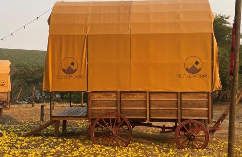 Delfinopolis Other | Nest 1