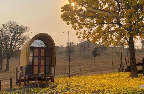 Delfinopolis Other | Nest 1