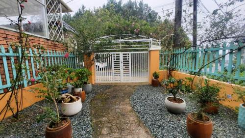 Da Lat House | NEST HOUSE - Villa