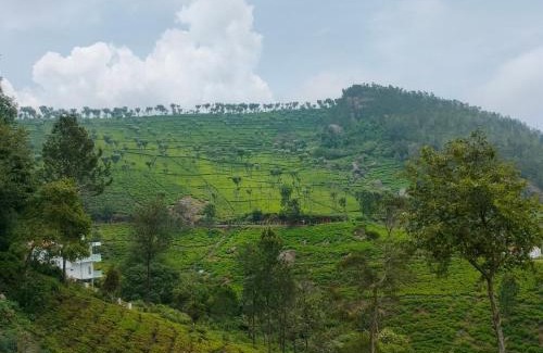 Kotagiri House | Nest Valley Kotagiri