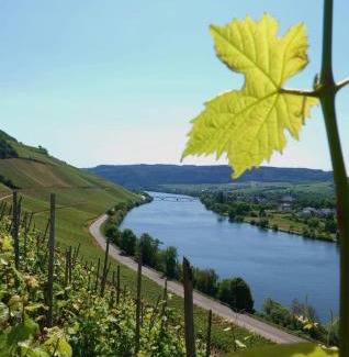 Bekond Apartment | Neue Fewo Mosel-Glück - Urlaub im Wein- und Ferienort Bekond - Direkte Autobahnanbindung nach Trier & Luxembourg