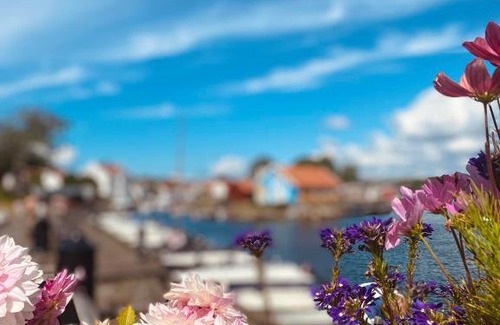 Nevlunghavn House | Nevlunghavn Gjestgiveri