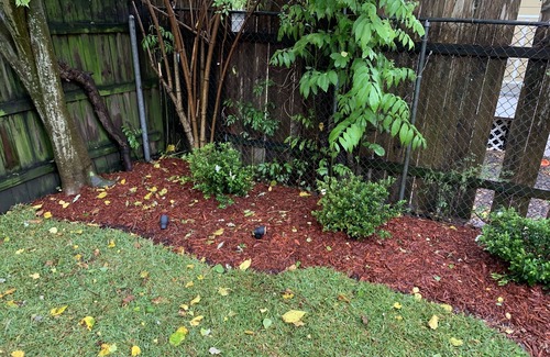 Tulane - Gravier House | “NEW” 1 Bed 1 Bath 1 Block From Street Car Line-Only 7 blocks to French Quarter!