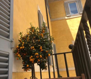 Rione VIII Sant'Eustachio Apartment | NEW! BELLISSIMO PalazzoFranchi Pantheon