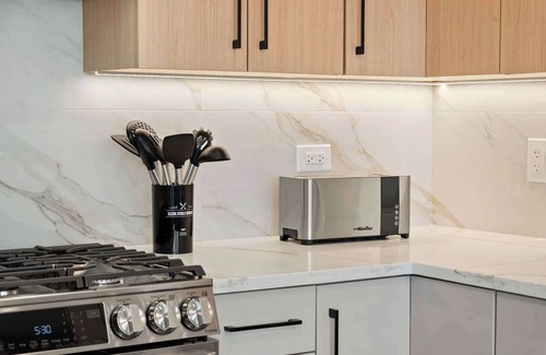 Tri-Taylor Apartment | New Build in Pilsen! Spacious 2 Bed 2 Bath Unit